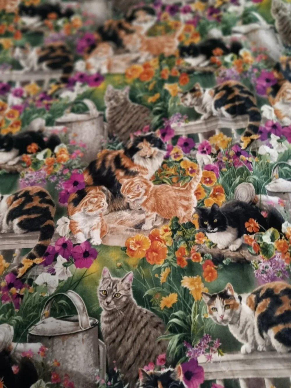 Garden Cats Window Curtain 40